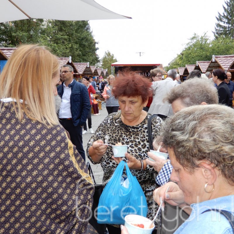 Helyi Értékek Startja 45